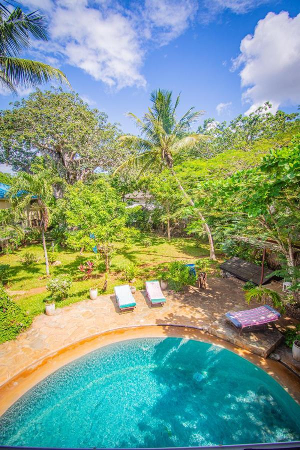 Mami Wata House Bed & Breakfast Kwale Екстериор снимка