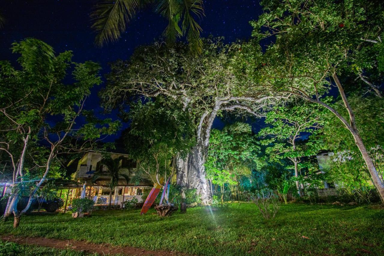 Mami Wata House Bed & Breakfast Kwale Екстериор снимка