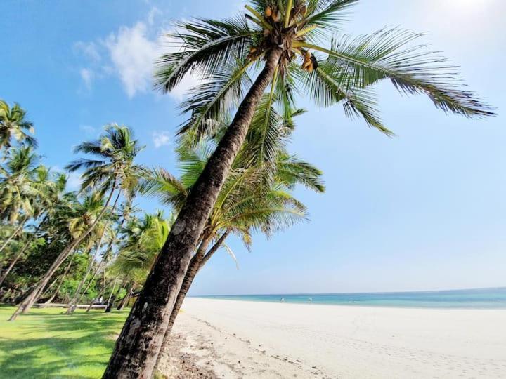 Mami Wata House Bed & Breakfast Kwale Екстериор снимка